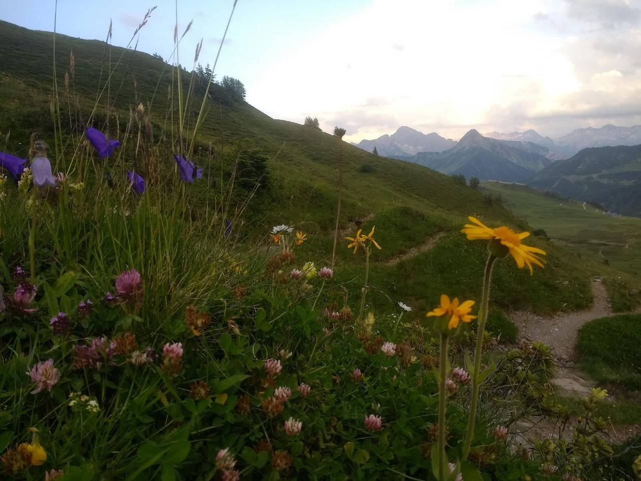Ferienwohnung für 4 Personen in Damüls, Bregenzerwald