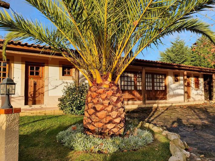 Aparthotel para 4 personas, con jardín y piscina, Se admiten mascotas en Alentejo - 3