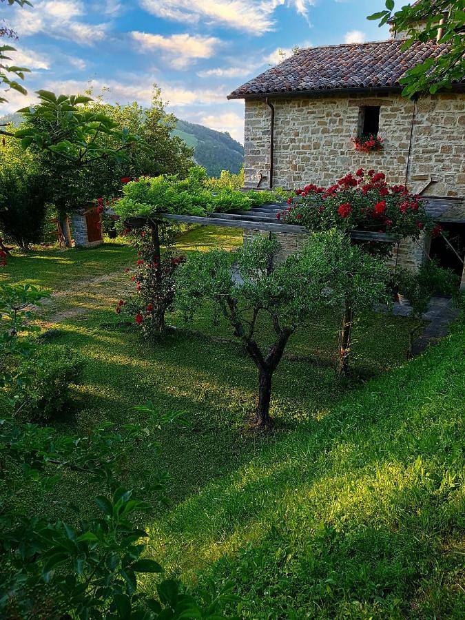 Family Room with Mountain View in Tredozio, Province de Forlì-Cesena