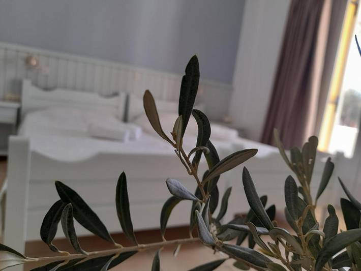 Chambre d’hôte pour 2 personnes, avec Terrasse et Jardin dans Patmos