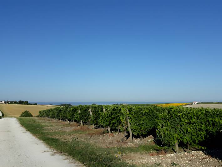 Chambre d’hôte pour 6 personnes, avec jardin en Charente-Maritime - 3