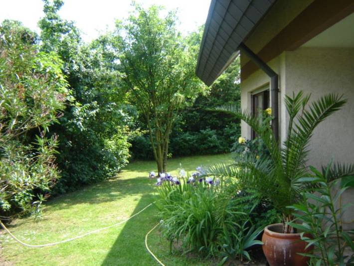 Ferienwohnung für 4 Personen, mit Terrasse und Garten sowie Sauna, mit Haustier in Rhein (Deutschland) - 2
