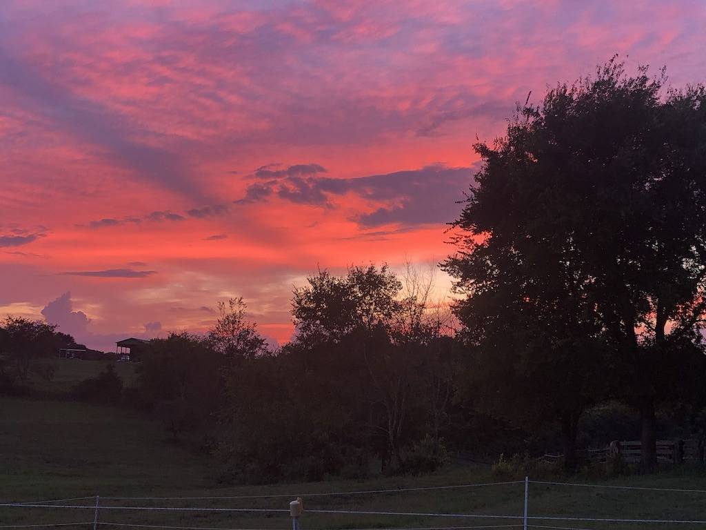 Horses, Big Sky, Boat and Horse Trailer Parking, Acreage, Tiny Home in Oconee County