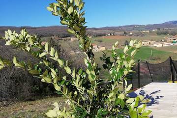 Villa per 9 Persone in Theizé, Villefranche-sur-Saone e dintorni, Foto 4