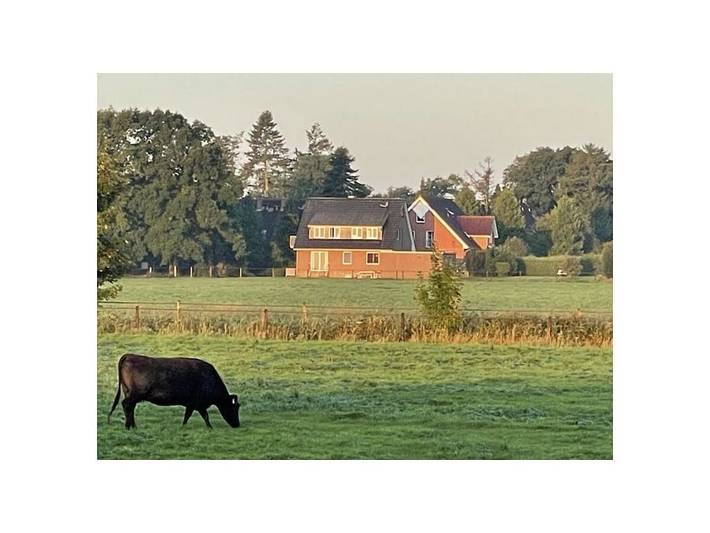 Ferienhaus mit Meerblick für 4 Personen, mit Balkon in Dangast