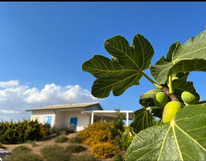 Gîte pour 4 personnes, avec jardin ainsi que piscine et vue, animaux acceptés à Agrigente - 2