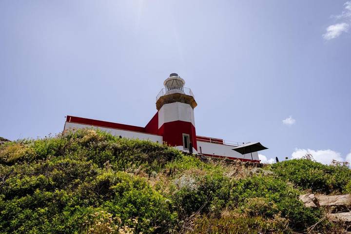 Ferienhaus für 14 Personen, mit Garten und Ausblick auf Isola del Giglio - 3