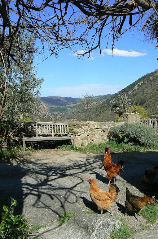 Location de vacances pour 8 personnes, avec jardin, animaux acceptés dans les Pyrénées-Orientales - 3