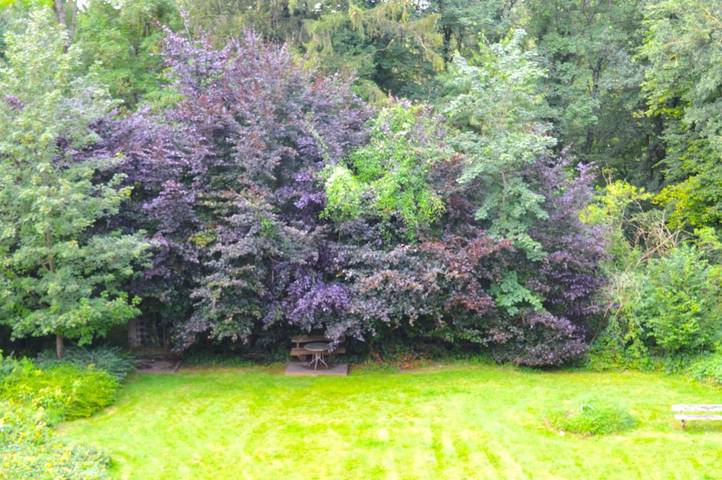 Gîte pour 6 personnes, avec terrasse à La Calamine - 3