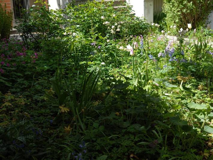 Ferienhaus für 3 Personen, mit Garten in Eimsbüttel - 3