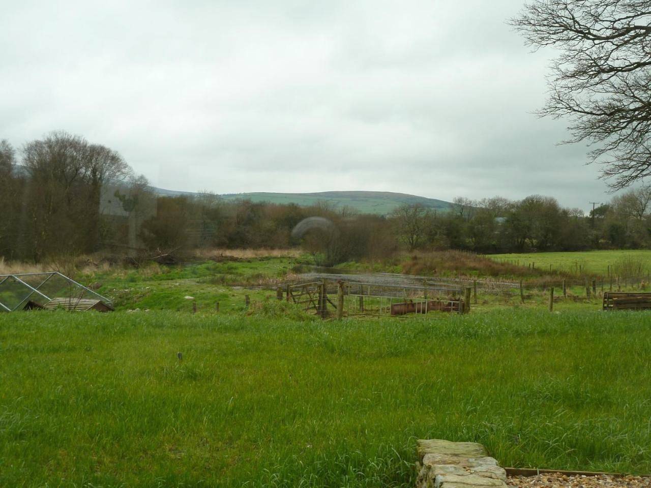 Deluxe Double Room with Shower in Pembrokeshire