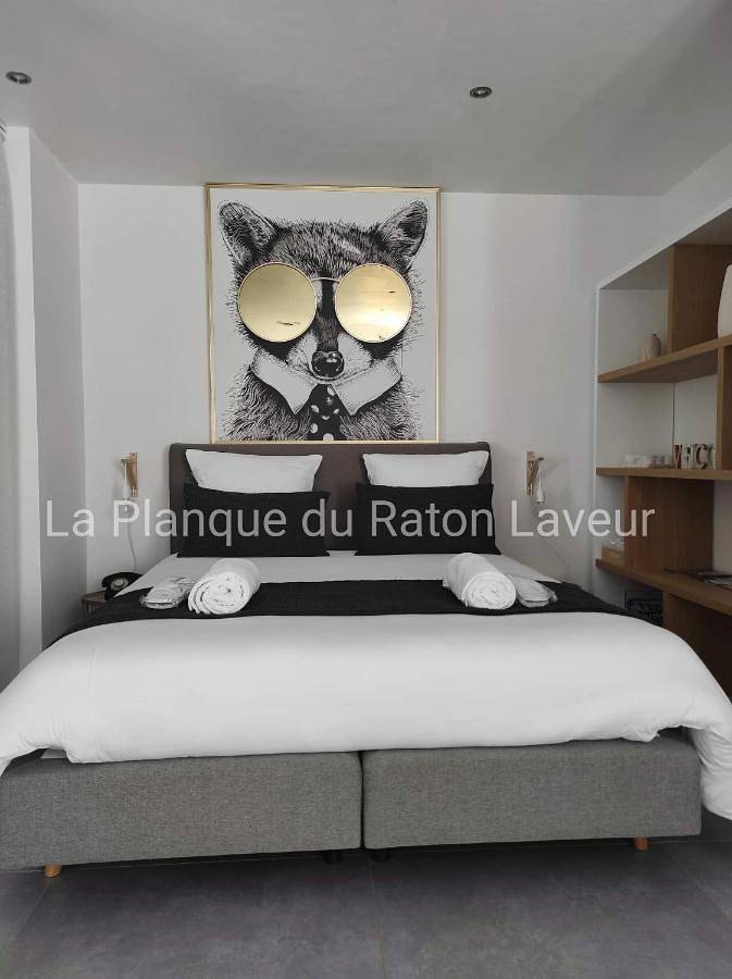 La planque du raton laveur in Lierneux, Région de Liège
