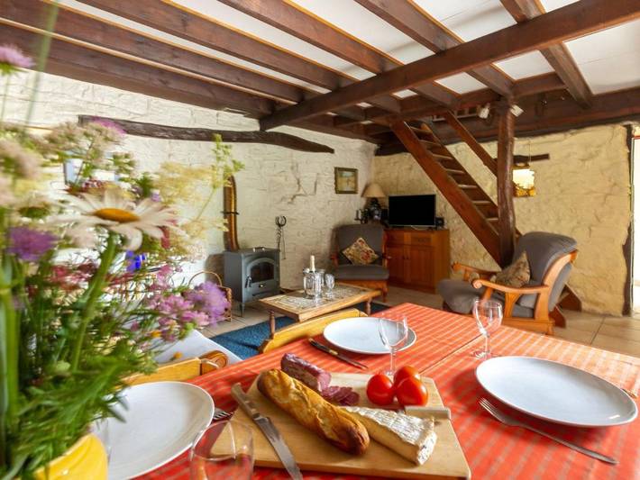 Location de vacances pour 4 personnes, avec terrasse, animaux acceptés à Tanlay - 3