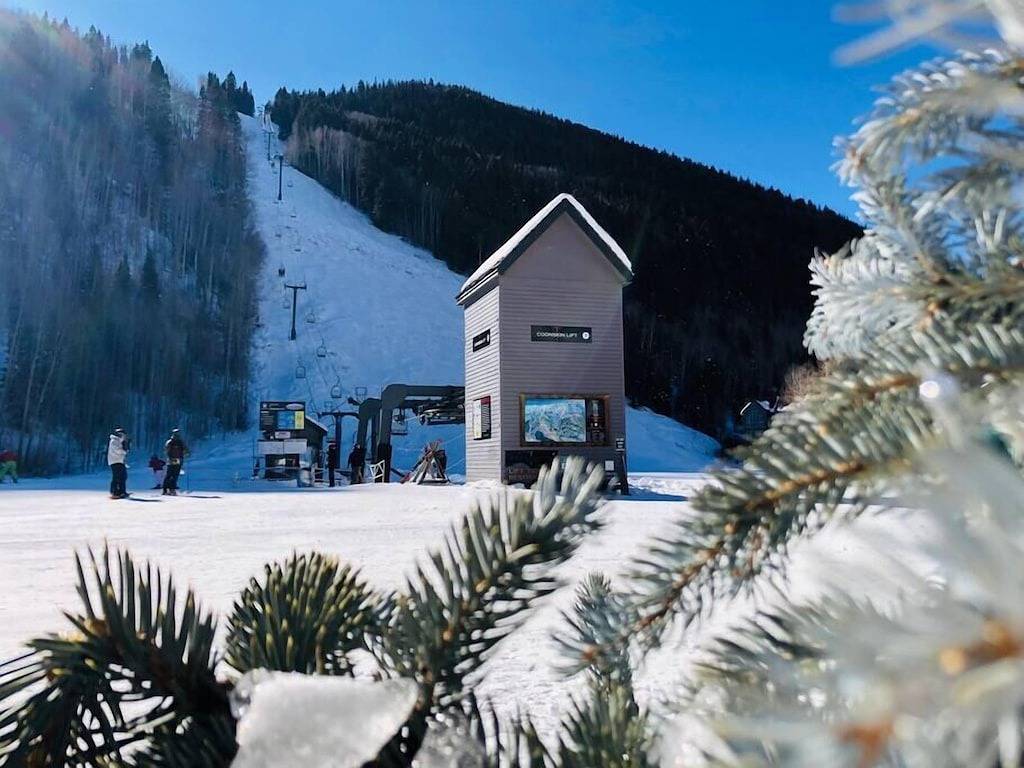 Ganze Wohnung, Tellurides \"Blue Collar Boutique\" = Voller Erfahrung zu einem Bruchteil des Preises in Telluride, Telluride Ski Resort