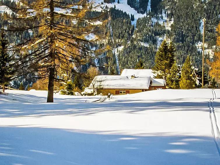 Chalet 6 Personnes in Wengen, Lauterbrunnen