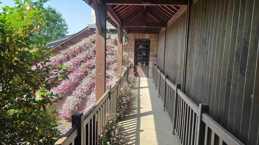 Hôtel pour 2 personnes, avec vue ainsi que piscine et jardin, animaux acceptés à Varetz - 3