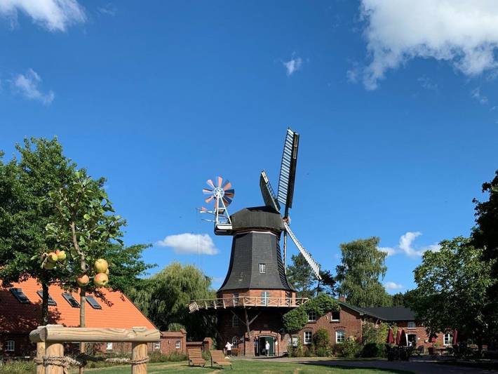 Ferienhaus Wattmöwe, Fewo Vermittlung Nordsee - Ferienhaus Wattmöwe in Sehestedt (Jade), Jade