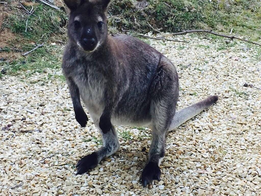 Bayview Bruny Island in Tasmanien