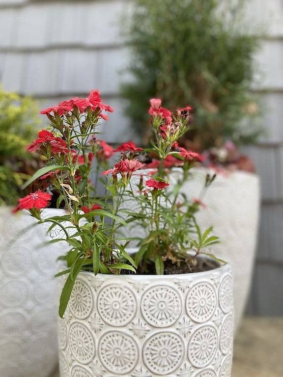 Ganze Wohnung, Beautiful studio apartment on Gorgeous Talimena Scenic Drive in Mena, Ouachita National Forest