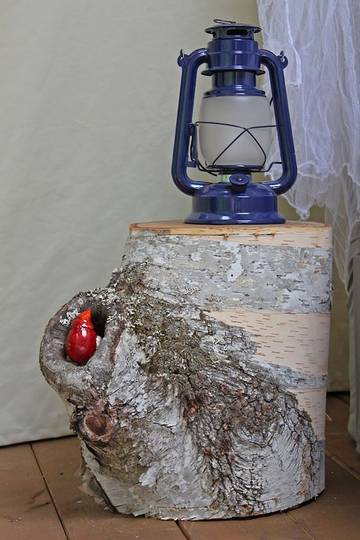 Camping pour 2 Personnes dans Parc provincial Algonquin, Ontario, Photo 1