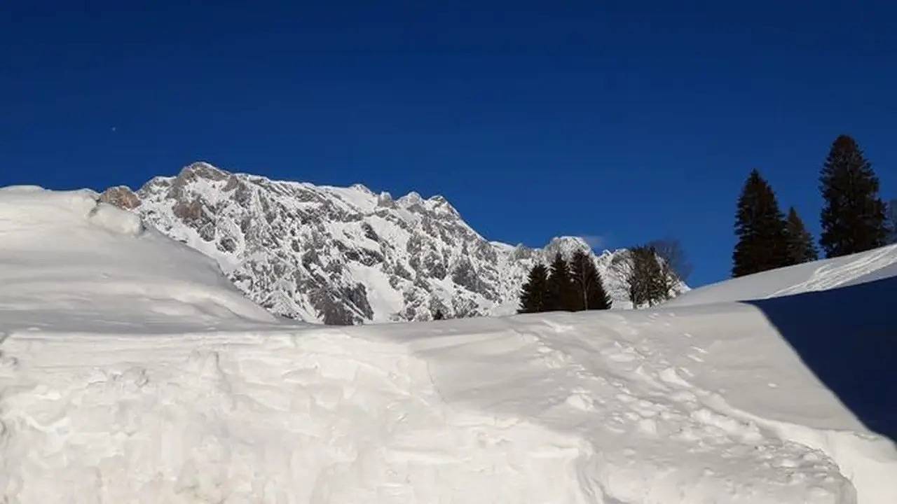 Ganze Ferienwohnung, Ferienwohnung für 3 Personen (25 m²) in Dienten am Hochkönig in Dienten am Hochkönig, Pinzgau