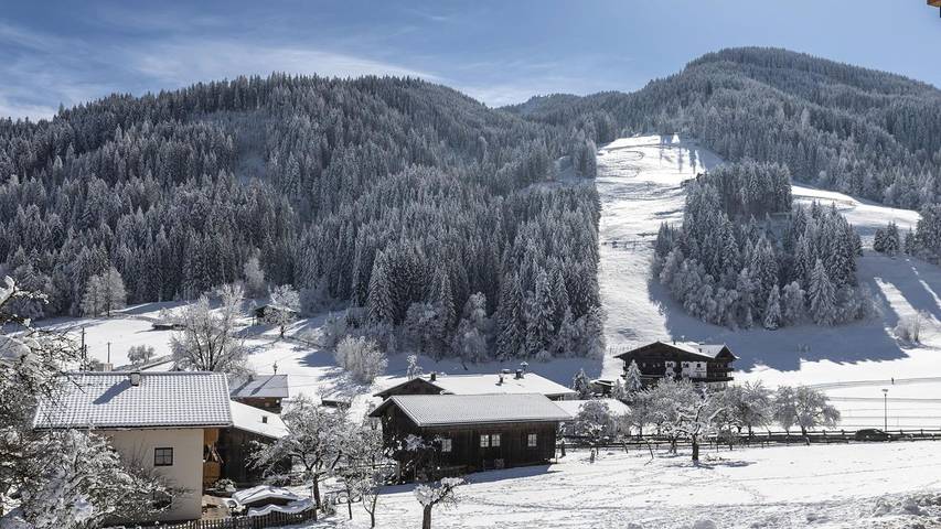 Ferienhaus für 21 Personen, mit Terrasse, mit Haustier in Wildschönau - 2
