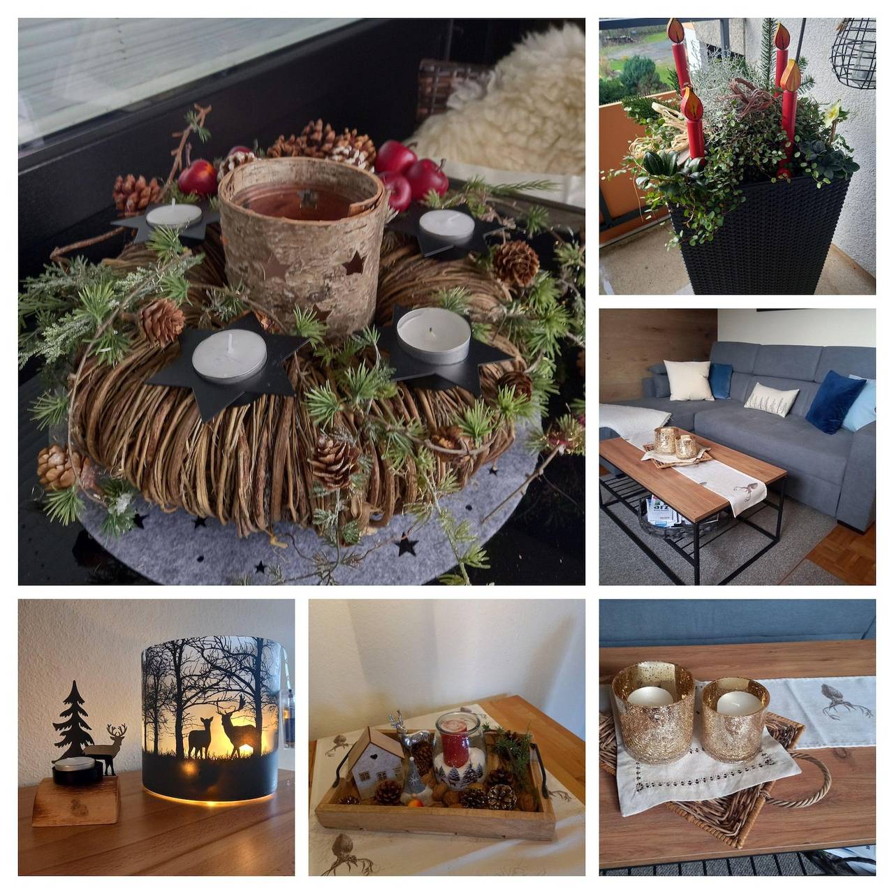 Ganze Ferienwohnung, Harz-Fewo Wolf in Bad Harzburg, Harzvorland