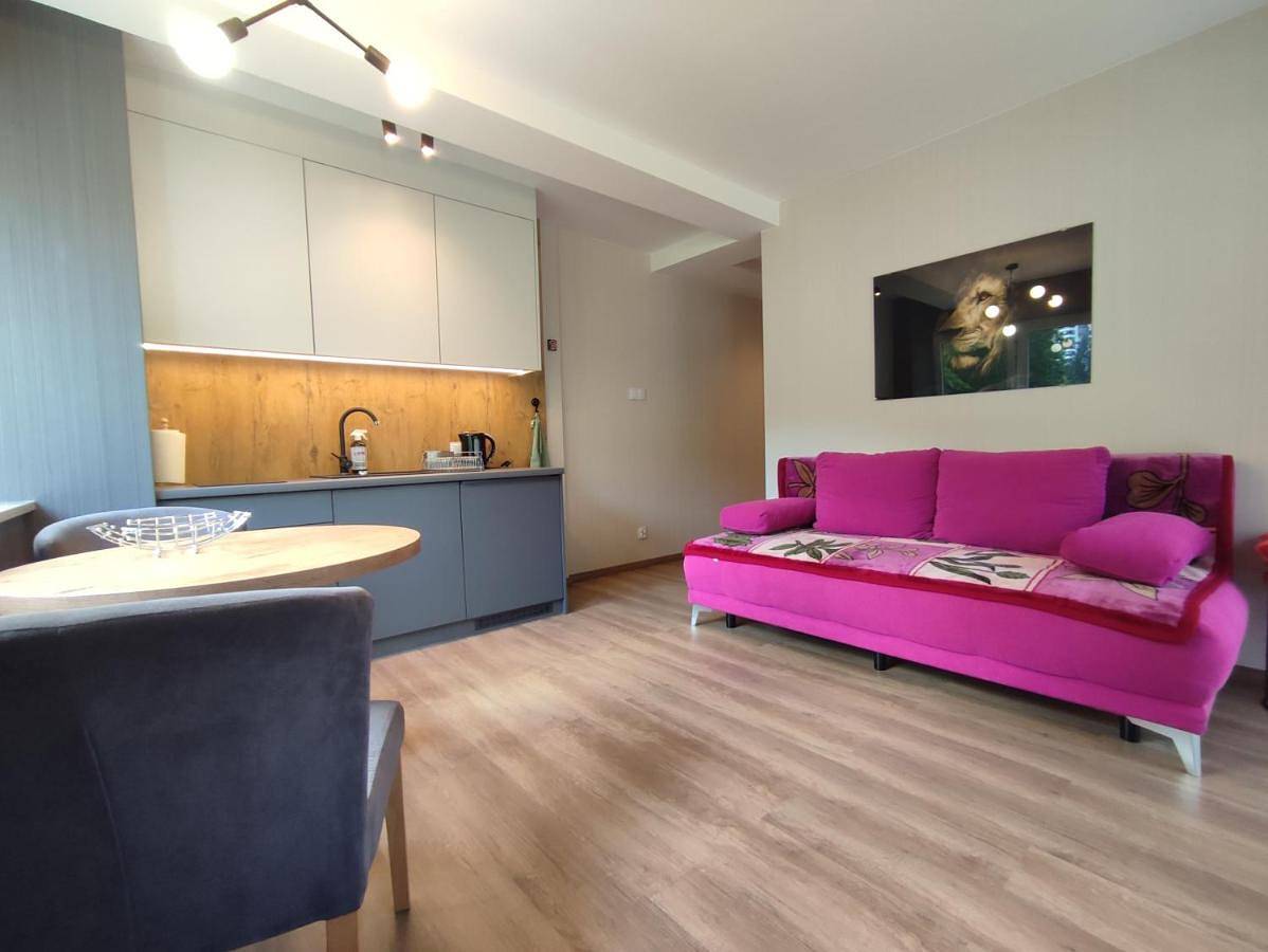 Cały apartament, Czarodziejska Góra Kozubnik Daglezja in Porąbka, Śląsk