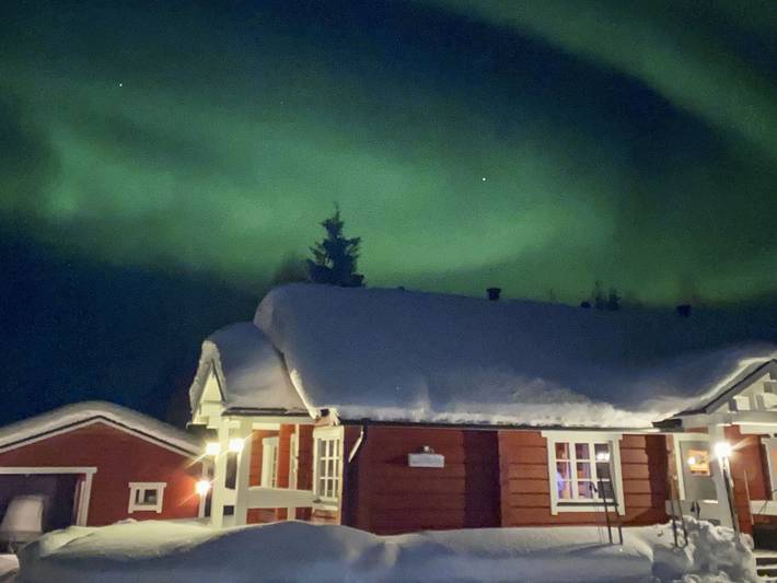 Vuonkuma in Kaulavaara, Lappland