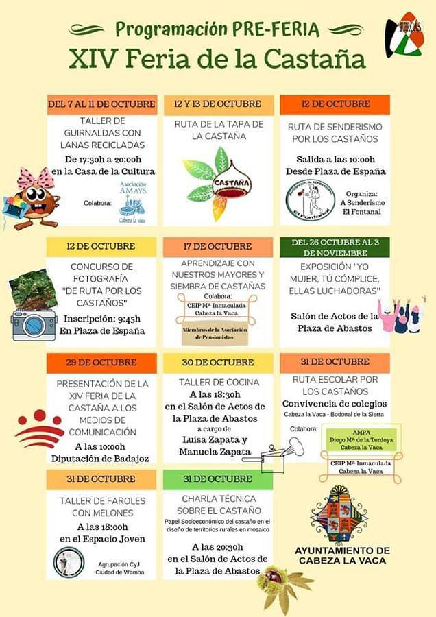 Casa rural para 16 personas, con sauna además de balcón y jacuzzi en Tentudía - 3