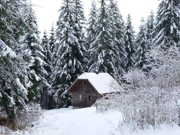 Bauernhof für 4 Personen in Krakau (Steiermark), Tauern, Bild 3