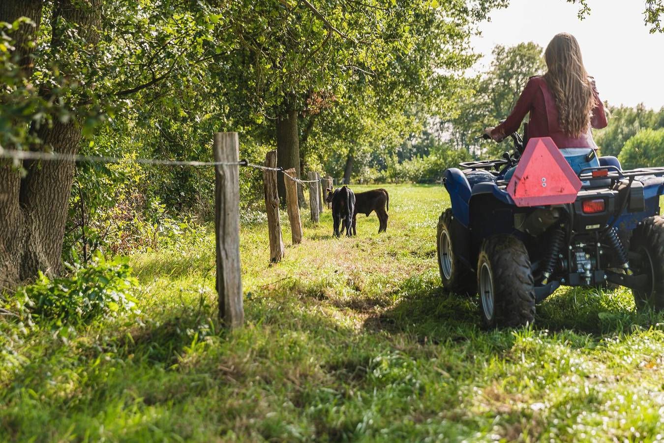 Erve Woolderink — 2 Reggehooiberg vakantiehuisjes in Wierden, Twente