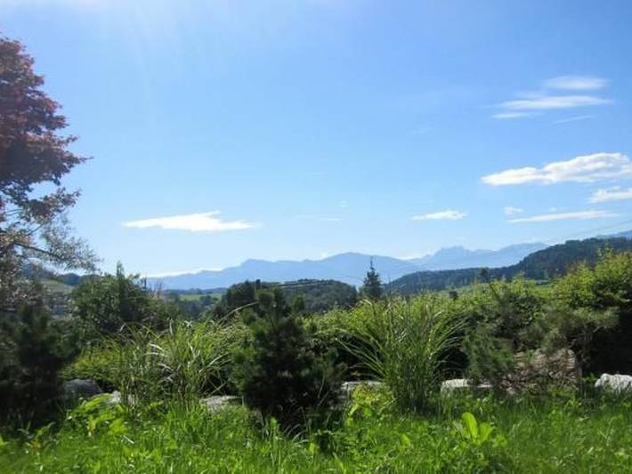 Ganze Wohnung, Pilgerwohnung in Wald (ZH), Zürich Voralpen
