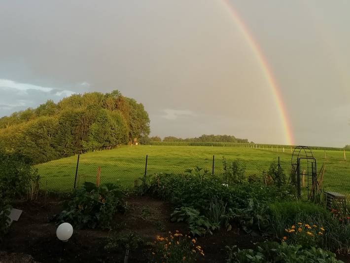 Ferienwohnung für 5 Personen, mit Garten in Waging am See - 4
