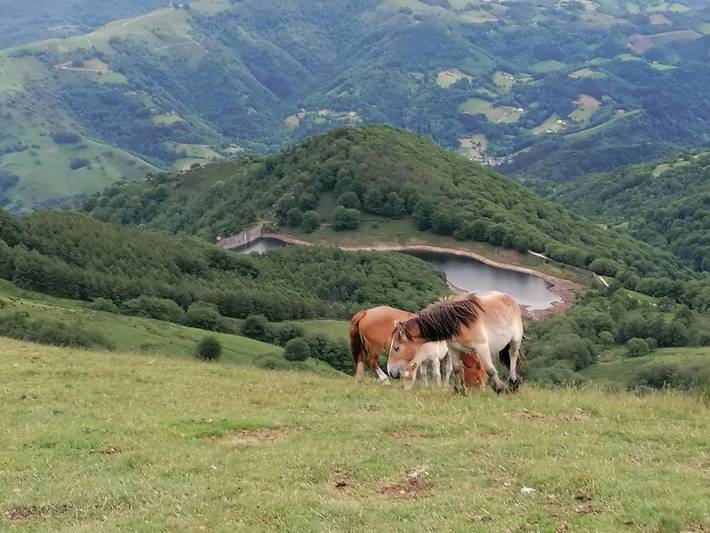 Casa de vacaciones para 9 personas, con jardín y jacuzzi en Cinco Villas (Navarra) - 2