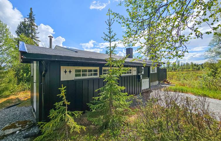 Ferienhaus für 5 Personen mit Garten in Gol