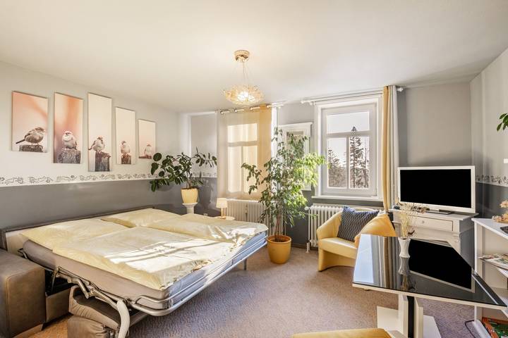 Ganze Wohnung, Ferienwohnung 'Das Spatzennest' mit Bergblick, Gemeinschaftsterrasse und Wlan in Bad Sachsa, Harzvorland