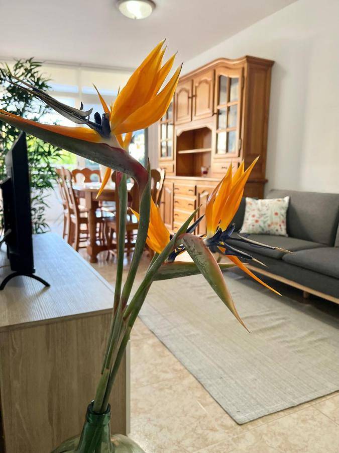 Ferienwohnung für 4 Personen, mit Ausblick und Balkon - 1