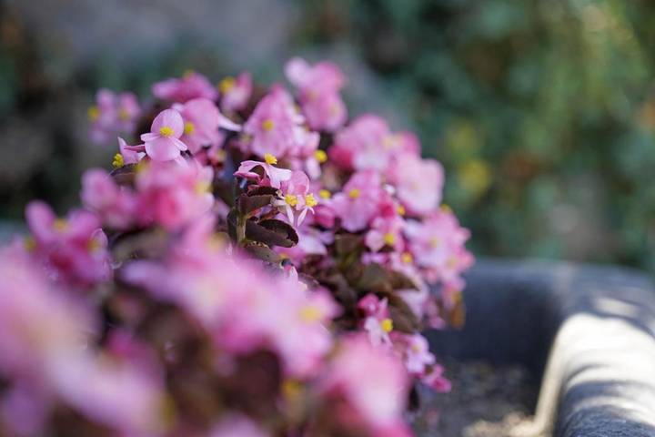 Location de vacances pour 9 personnes, avec vue et jardin à Soumagne - 3