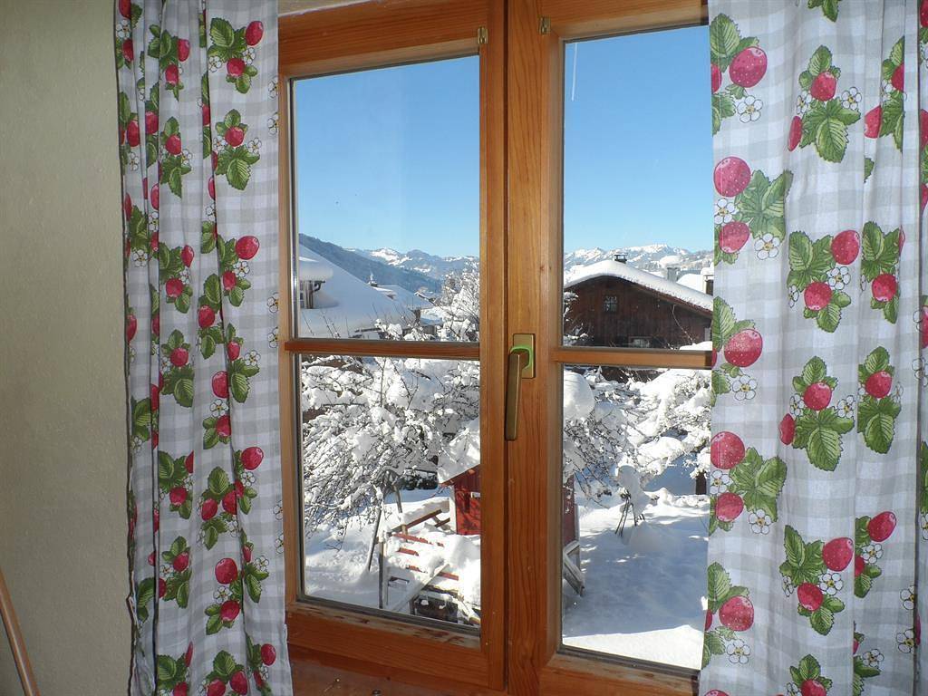 Alpakahof Wechs in Bad Oberdorf, Bad Hindelang