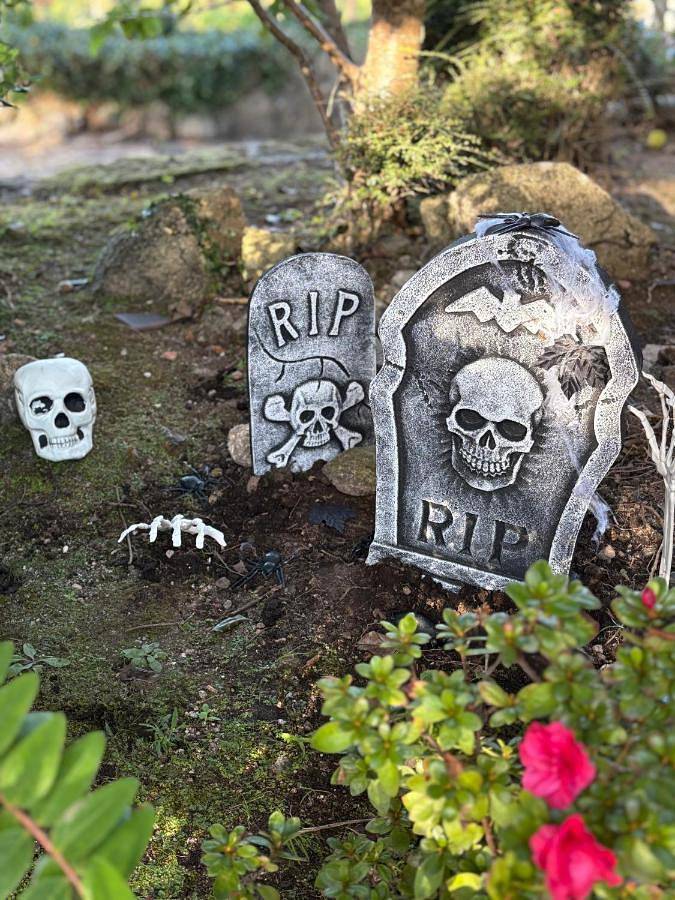 Chalet para 12 personas, con jardín además de piscina y vistas en Comarca de Vigo - 2