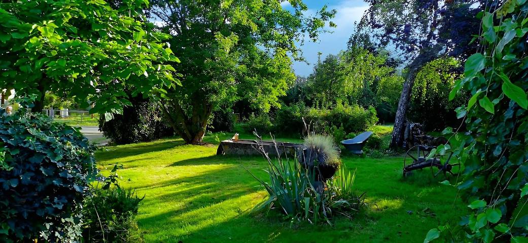Chambre d’hôte pour 3 personnes, avec jacuzzi et jardin dans Indre - 4