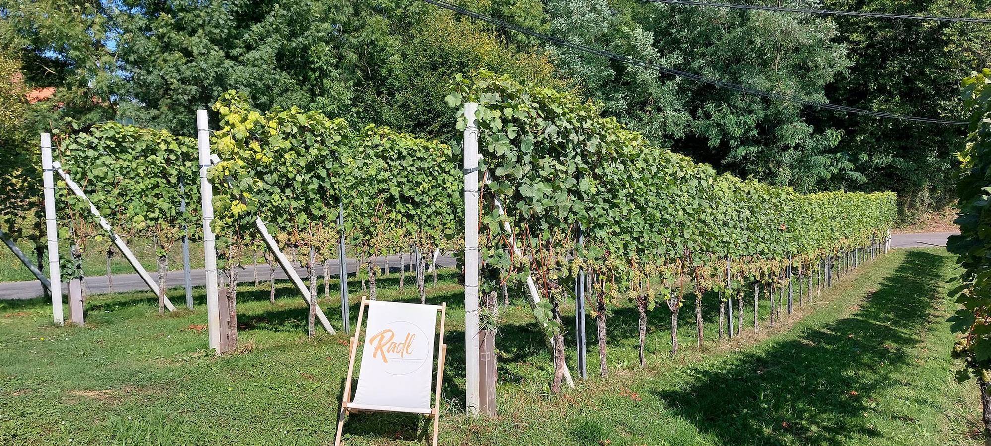 Stellplatz in Südoststeiermark, Steirerland
