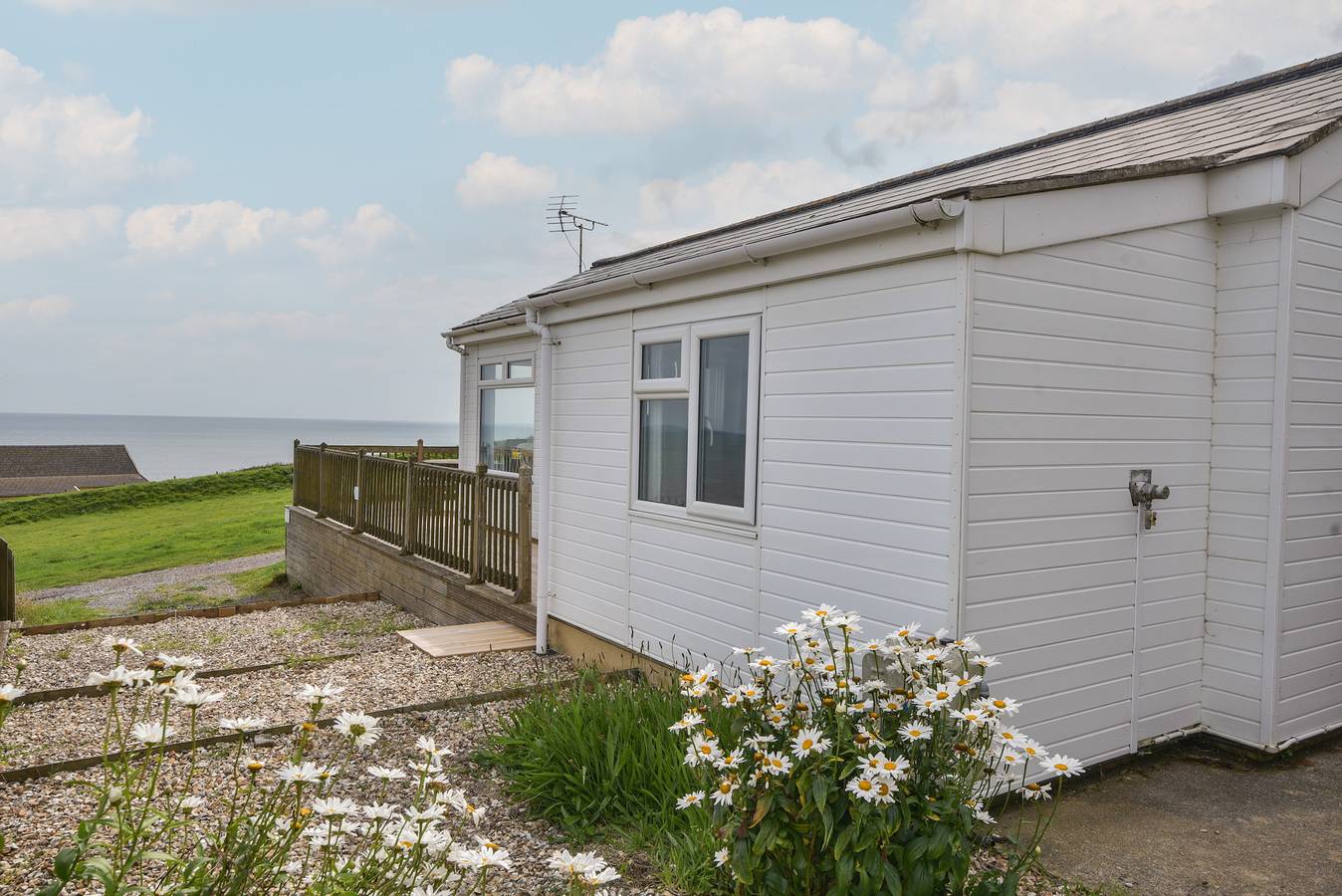 Sealark in Dorset