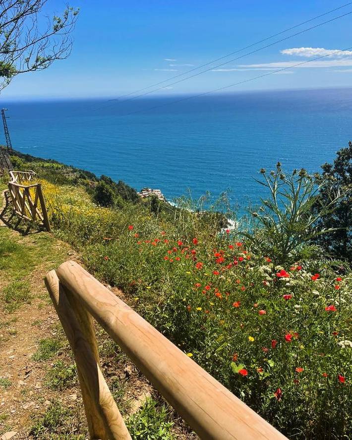 Maison d’hôte pour 2 personnes, avec vue et jardin à Manarola - 4