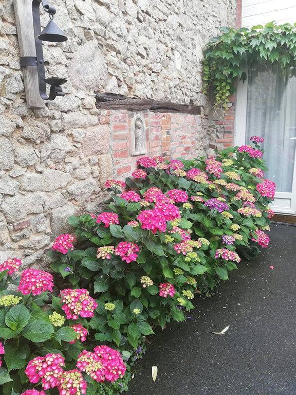 La Fleur de Lys - La Dame à la Licorne in Mauléon, Vallée de la Loire