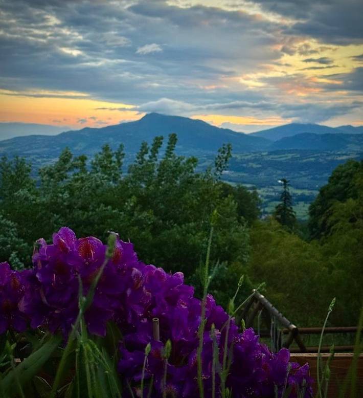 Gîte pour 6 personnes, avec vue et jardin à La Roche-sur-Foron - 3