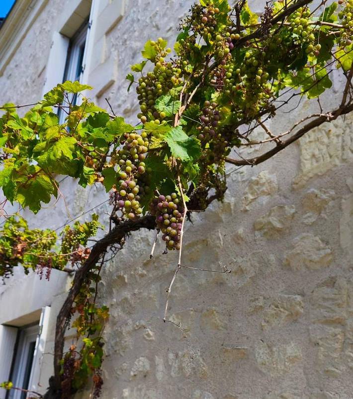 Chambre d’hôte pour 2 personnes, avec terrasse, animaux acceptés