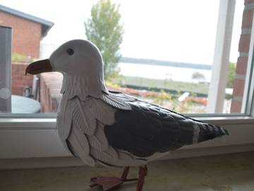 Ferienwohnung für 3 Personen in Waren (Müritz), Müritz, Bild 4