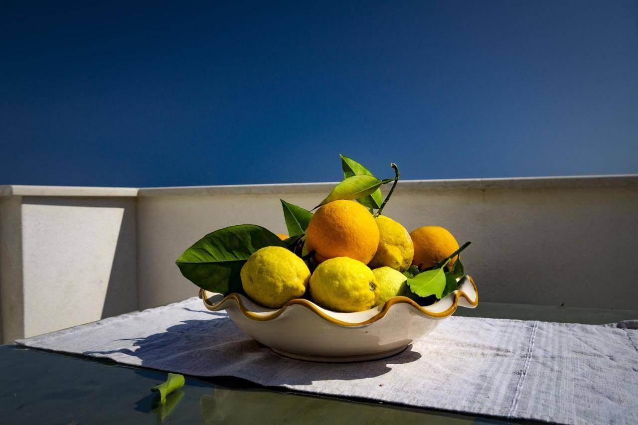 Ganze Ferienwohnung, Grecale-Terrasse in Rodi, Gargano